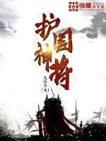 护国神将元龙 护国神将元龙